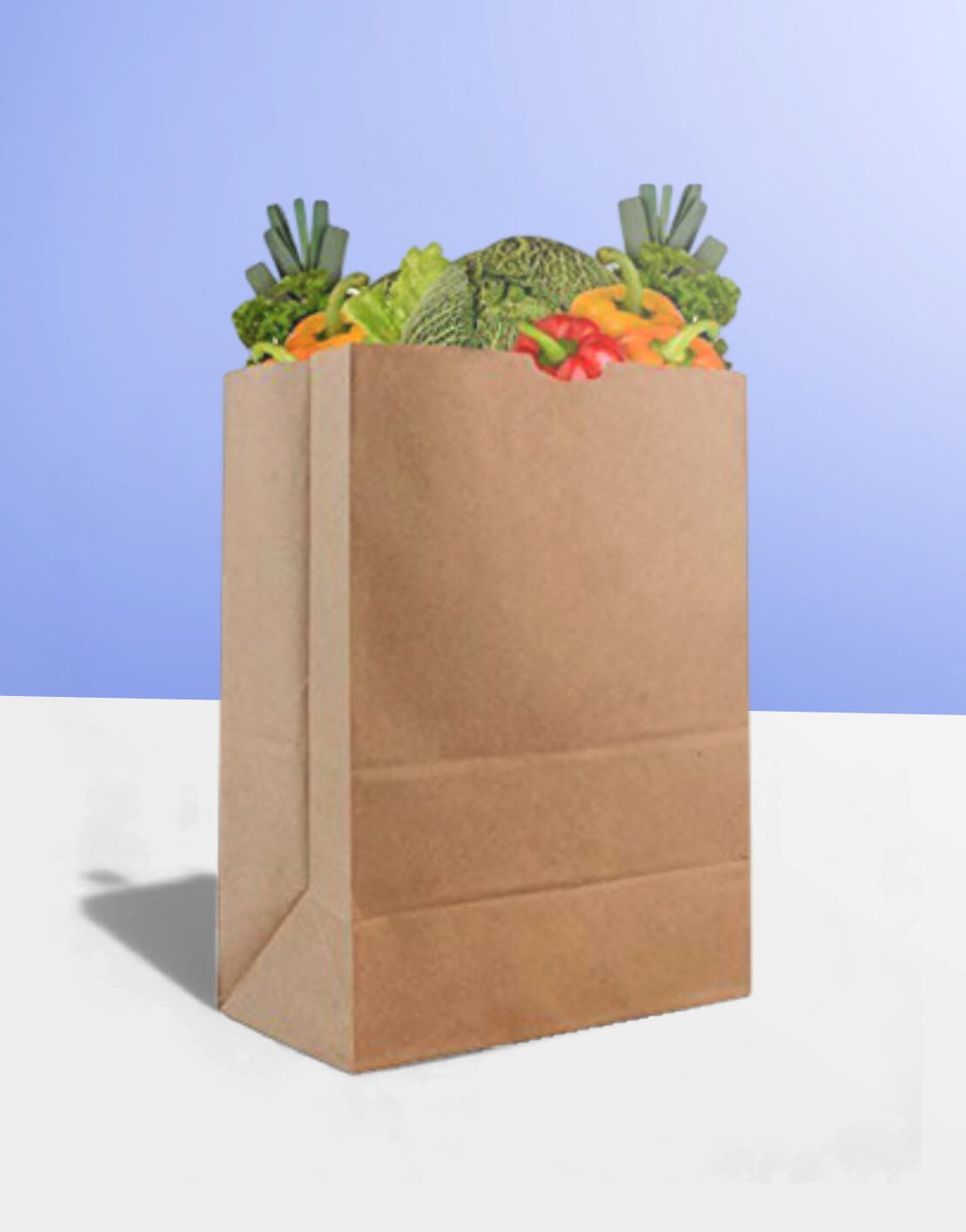 custom paper grocery bags at wholesale